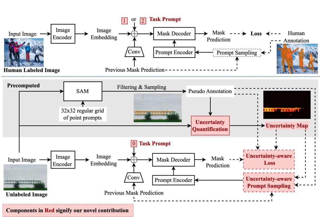SUM uncertainty-aware fine-tuning framework for segmentation foundation models